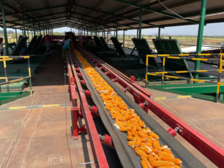seed-dryers-costal-peb